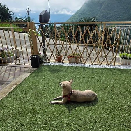 Apartamento View Fonteno